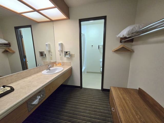 Deluxe Room, 1 King Bed, Air conditioning