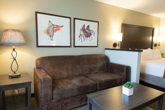 King Suite Sleeper Sofa