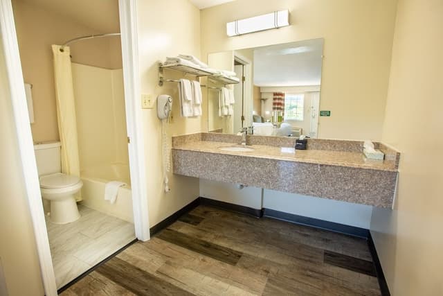 Deluxe Room, 1 King Bed, Non Smoking (accessible)