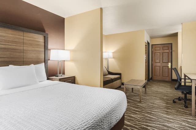 Suite, 1 Queen Bed