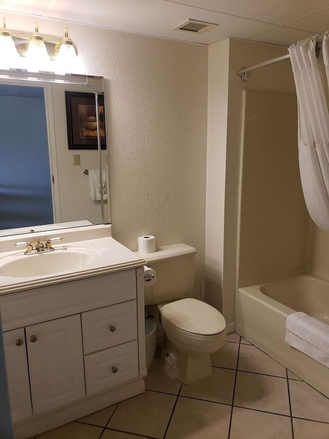 Classic Condo, 1 Bedroom, Pool View