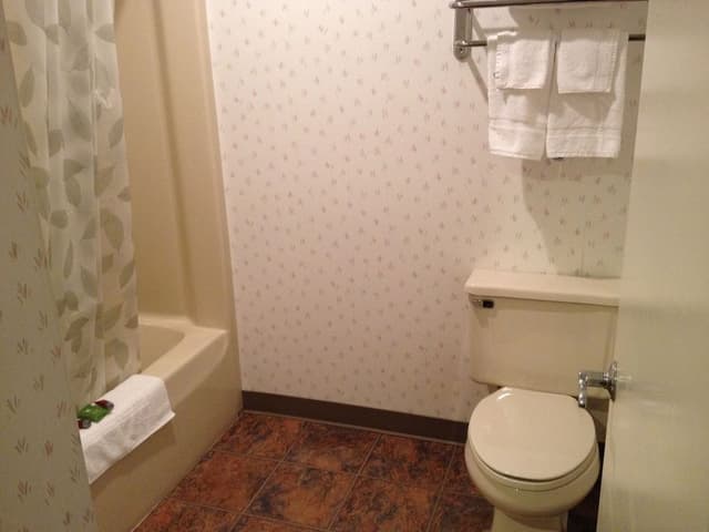 Pine Standard Single Room, 1 Queen Bed
