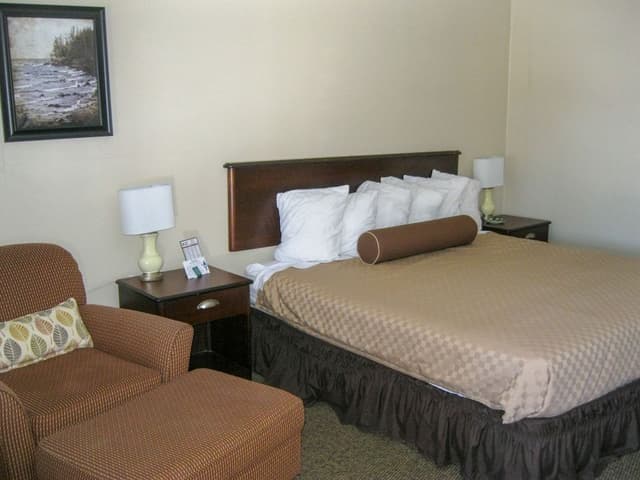 Pine Standard Single Room, 1 Queen Bed