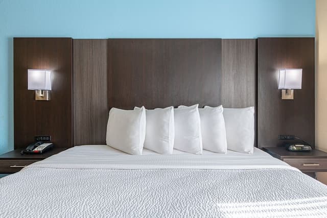 Standard Room, 1 King Bed