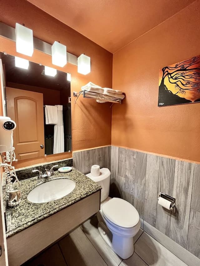 Deluxe Room, 1 King Bed, Non Smoking