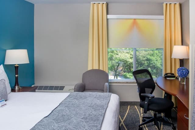 Queen Guestroom