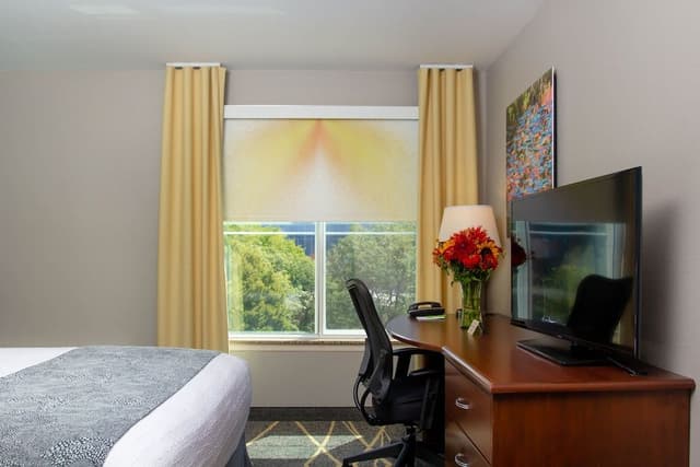 Queen Guestroom