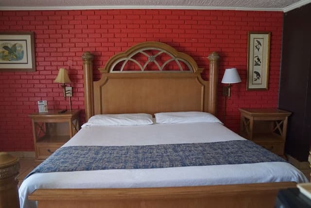 Standard Room, 1 King Bed, Non Smoking