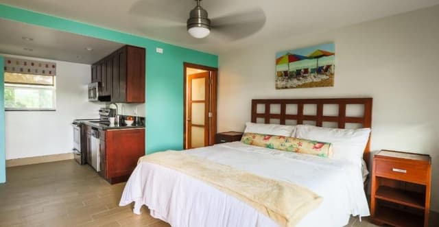 Standard Studio, 1 King Bed, Kitchen