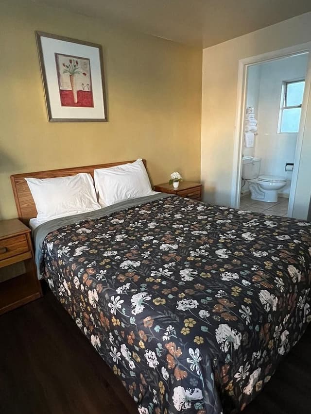 Room, 1 Queen Bed