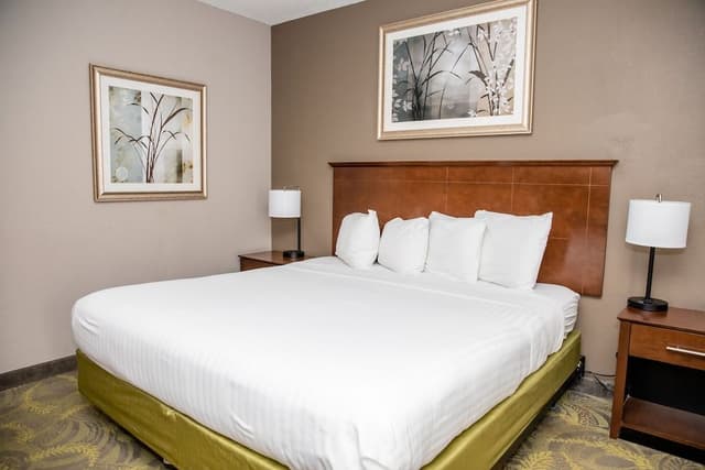 Standard Room, 1 King Bed