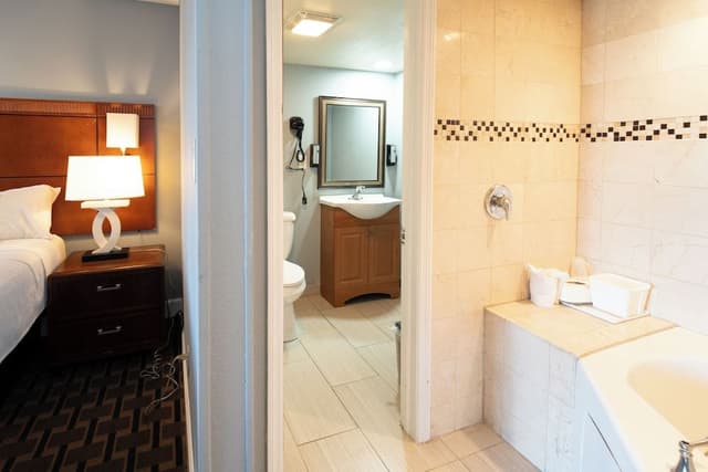 Room, 1 King Bed, Non Smoking, Jetted Tub