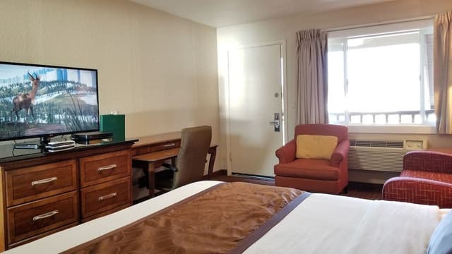 Deluxe Apartment, 1 Bedroom, Kitchenette