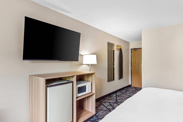 Standard Room, 1 King Bed, Non Smoking