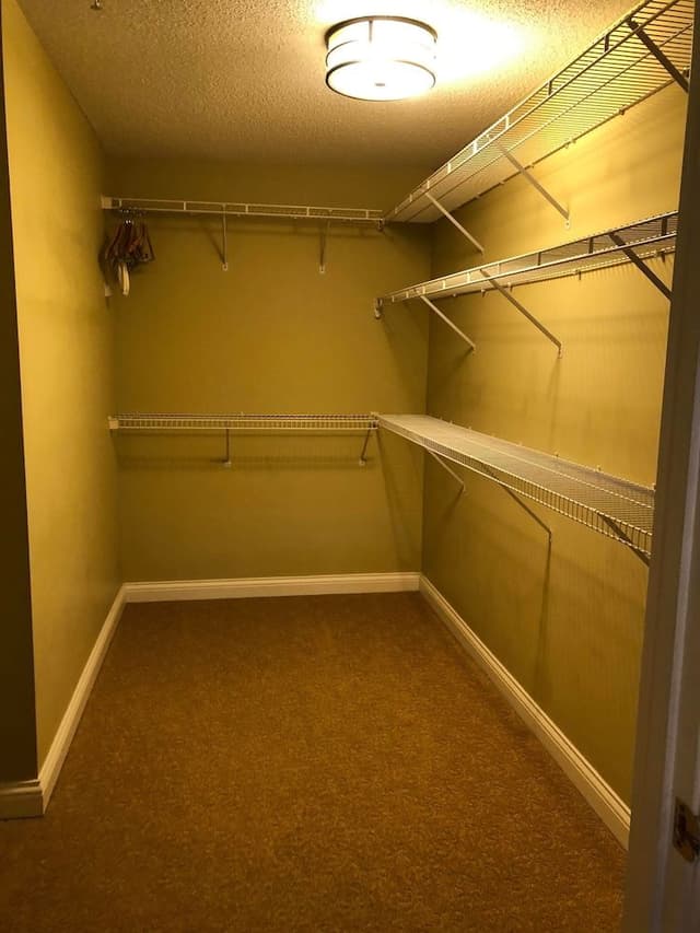 Executive Apartment