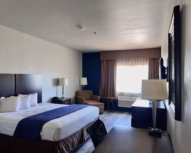 Standard Room, 1 King Bed