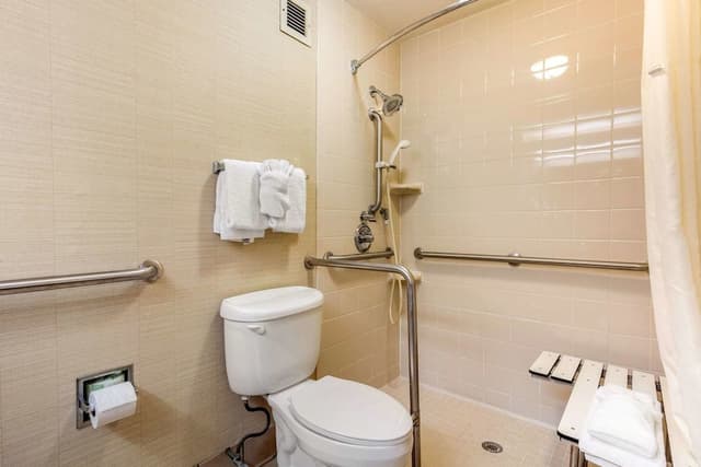 Room, 1 King Bed, Accessible, Non Smoking