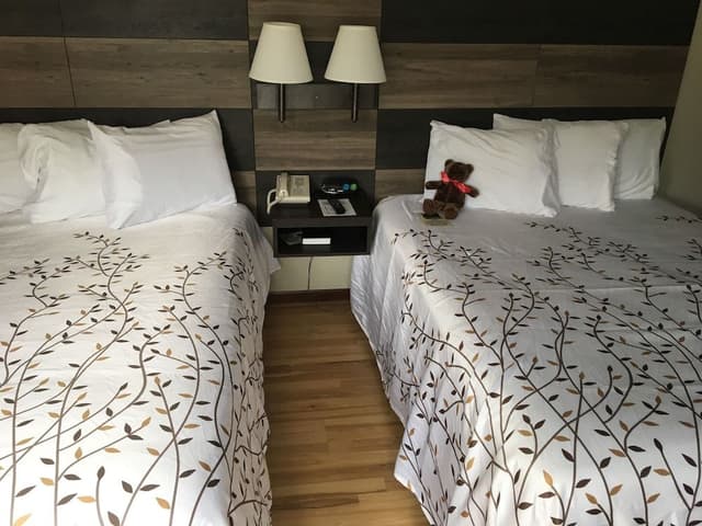 Standard Room, 2 Queen Beds, Accessible