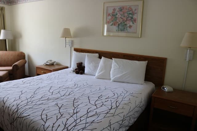 Loft Suite - 1 King