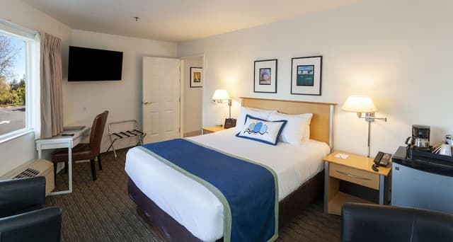 Classic Room, 1 King Bed (no water view)