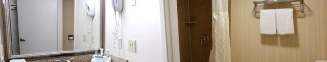 Deluxe Room, 1 King Bed, Non Smoking
