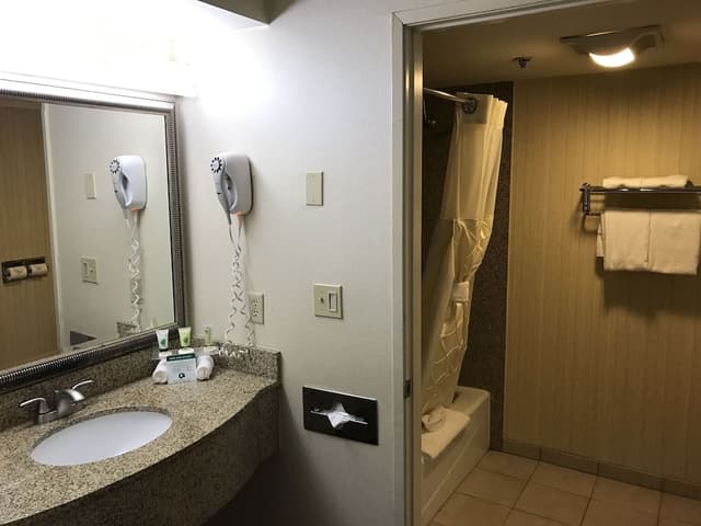 Deluxe Room, 1 King Bed, Non Smoking