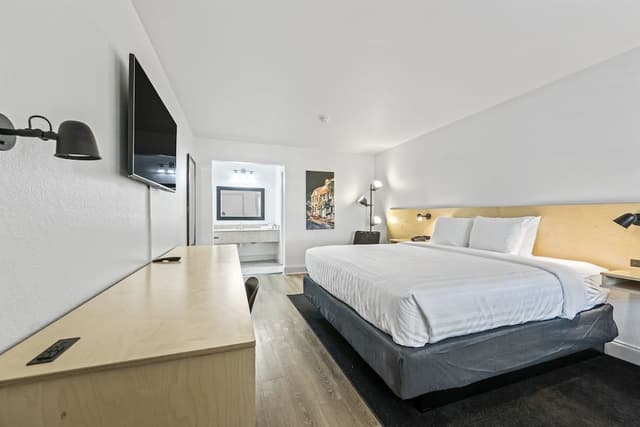 Room, 1 King Bed, Non Smoking (Pet Friendly)