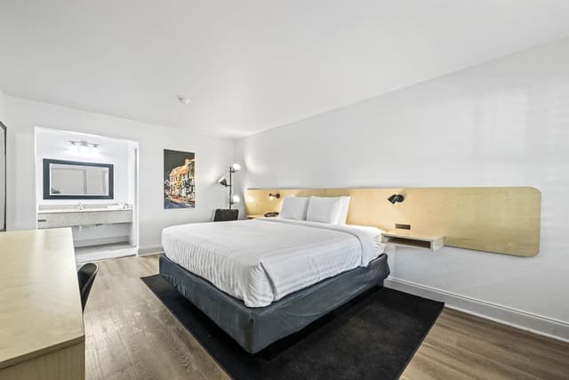 Room, 1 King Bed, Non Smoking (Pet Friendly)