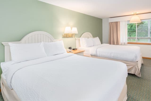 Room, 2 Double Beds