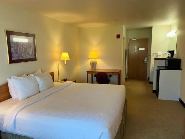 Standard Single Room, 1 King Bed, Non Smoking
