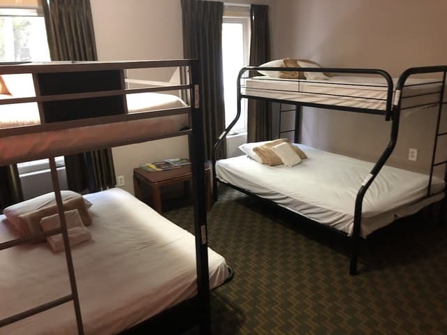 Since Bed Mixed Dormitory Room