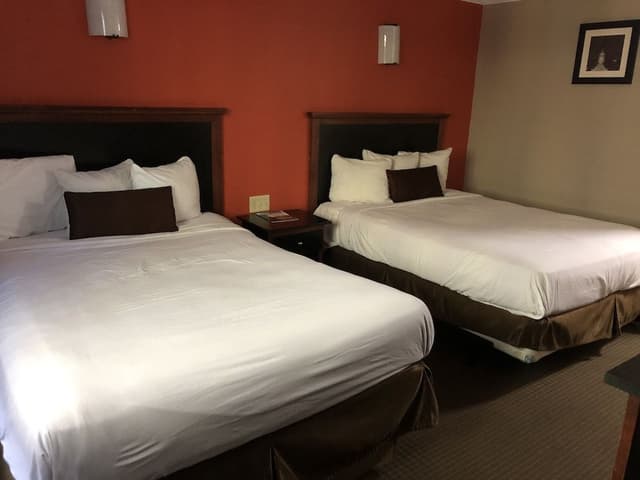 Standard Room, 2 Queen Beds