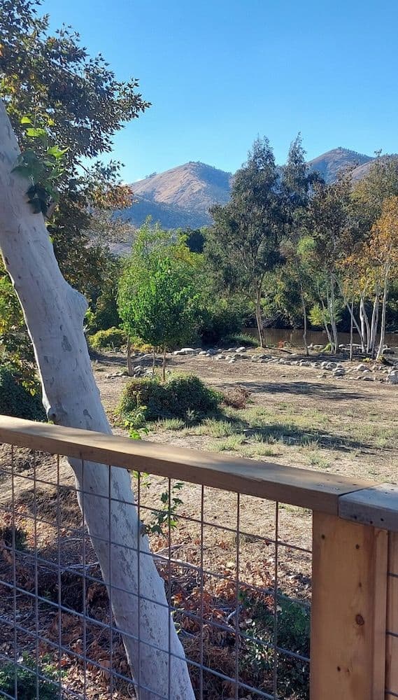 Family Cabin, River Front, River View, Deck #6