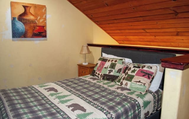 Family Cabin, River Front, River View, Deck #6