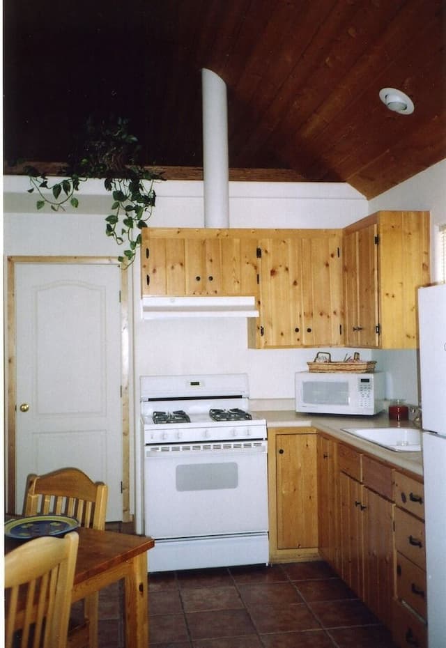 2 Bedroom River Front Cabin with a Loft #10