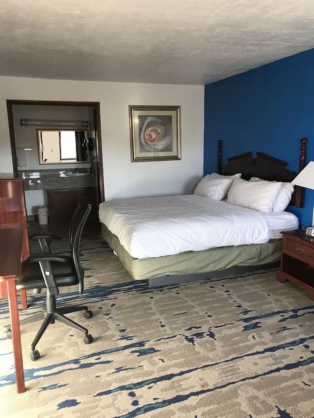 Standard Room, 1 King Bed, Non Smoking