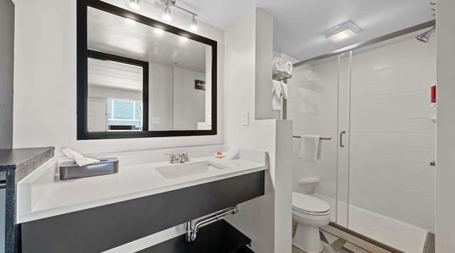 Standard Room, 2 Double Beds, Non Smoking, Refrigerator & Microwave