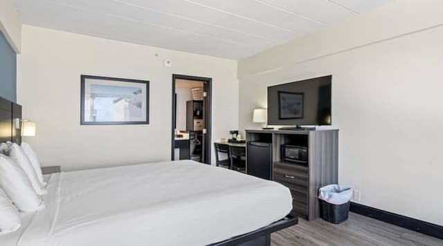 Standard Room, 1 King Bed, Non Smoking, Refrigerator & Microwave