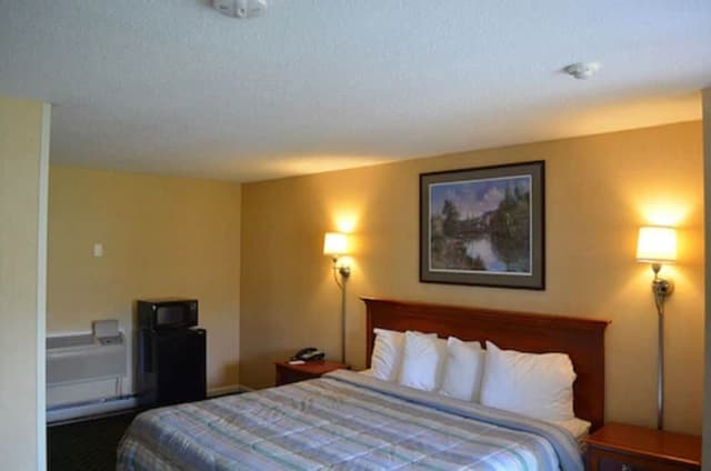 Room, 1 King Bed