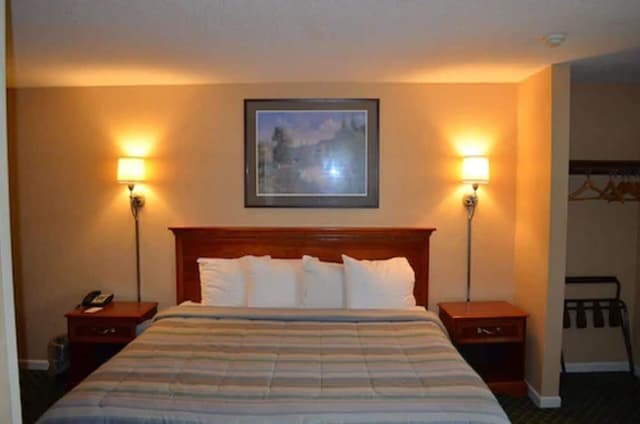 Room, 1 King Bed