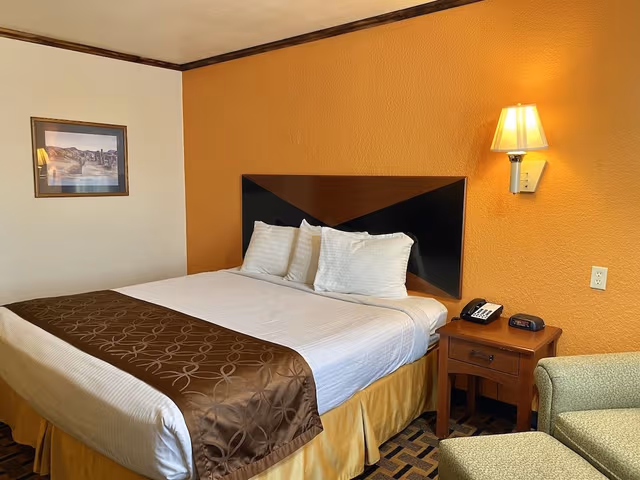 Standard Room, 1 King Bed (Non Smoking)