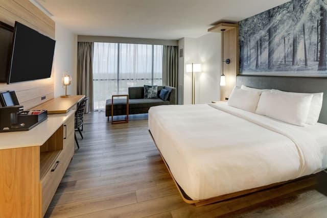 Room, 1 King Bed