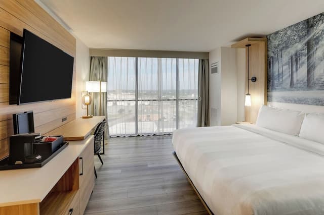 Room, 1 King Bed