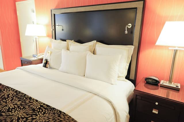 Room, 1 King Bed