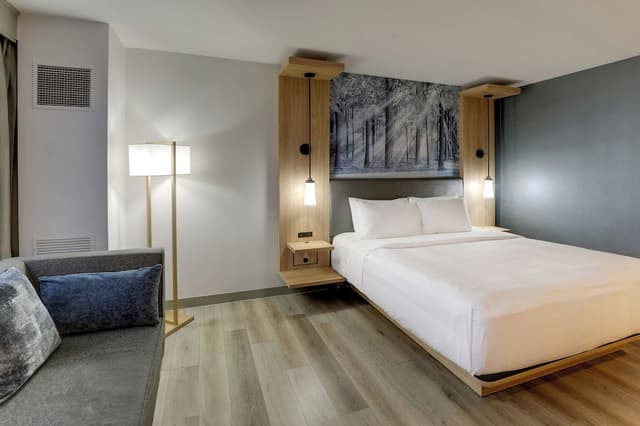 Room, 1 King Bed