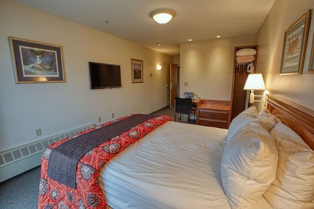 Single Queen ADA Room
