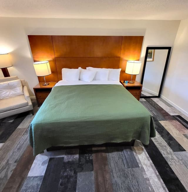 Superior Studio Suite, 1 King Bed with Sofa bed