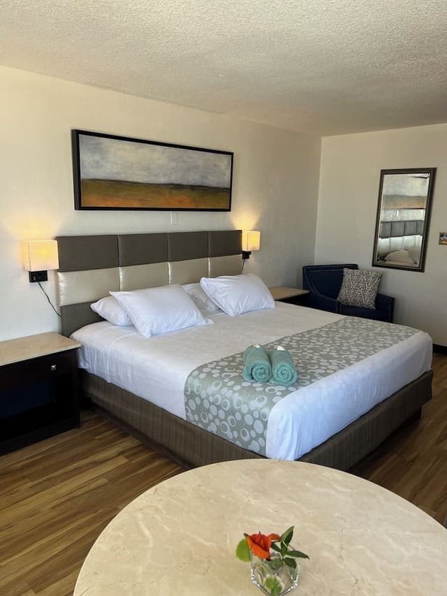 Partial Ocean View, 1 King Bed with Kitchenette