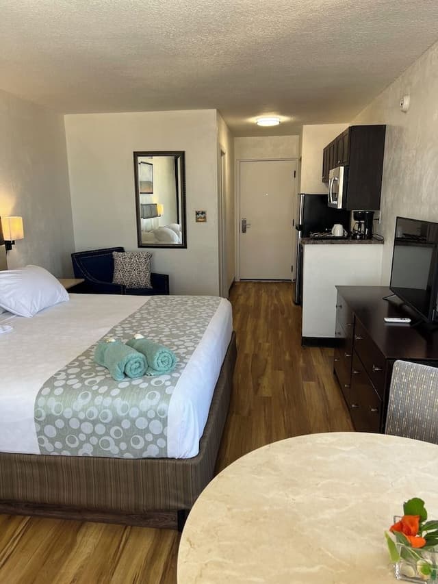 Partial Ocean View, 1 King Bed with Kitchenette
