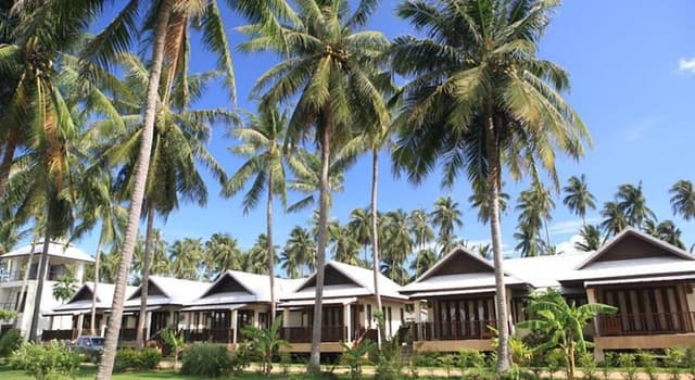 Villa, Garden View